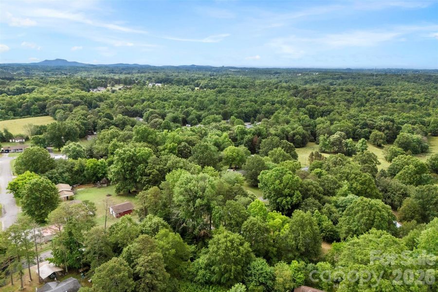 Natural landscape and outdoor views near  in Kings Mountain (Image 28).