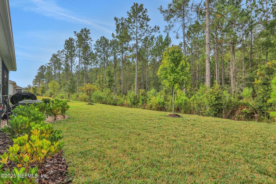 Natural landscape and outdoor views near Tributary: Lakeview at Tributary 50's in Yulee (Image 36).
