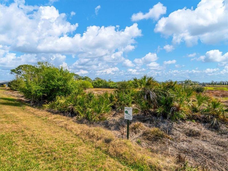 Natural landscape and outdoor views near  in Sarasota (Image 33).