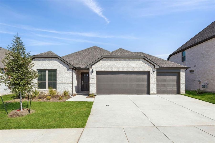 Elevation D Elevation D