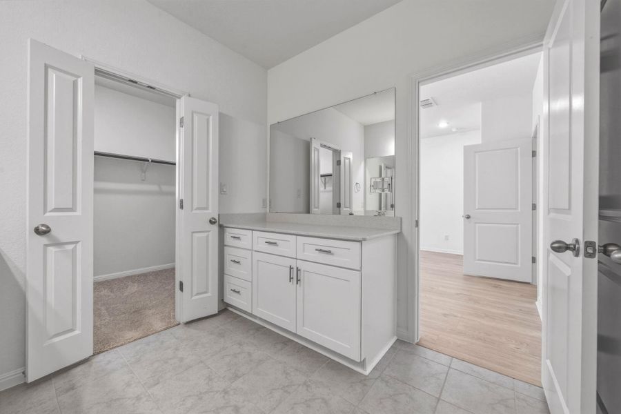 Bathroom with vanity and a walk in closet