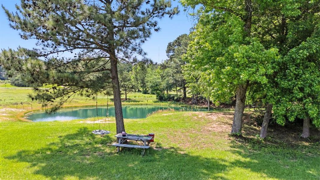 Natural landscape and outdoor views near  in Winona (Image 26).