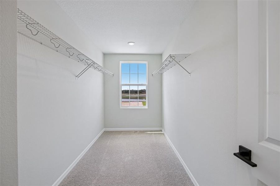 Spacious, unfurnished interior of a new home in Berry Bay, Wimauma (Image 14).