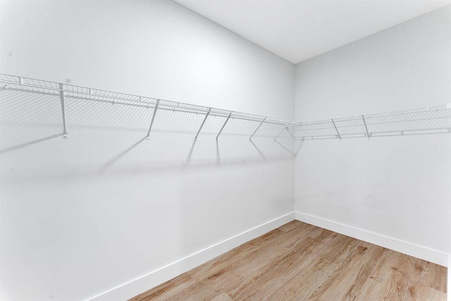 36-web-or-mls-DSC09090