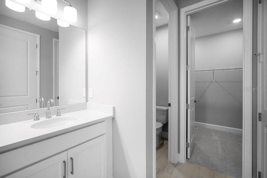 Furnished interior view inside a new home in Timber Ridge, Plant City (Image 9).