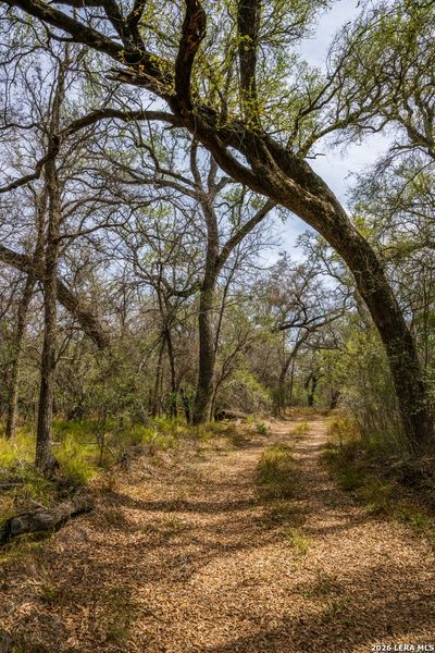 Natural landscape and outdoor views near in Crystal City (Image 32). Natural landscape and outdoor views near in Crystal City (Image 32).