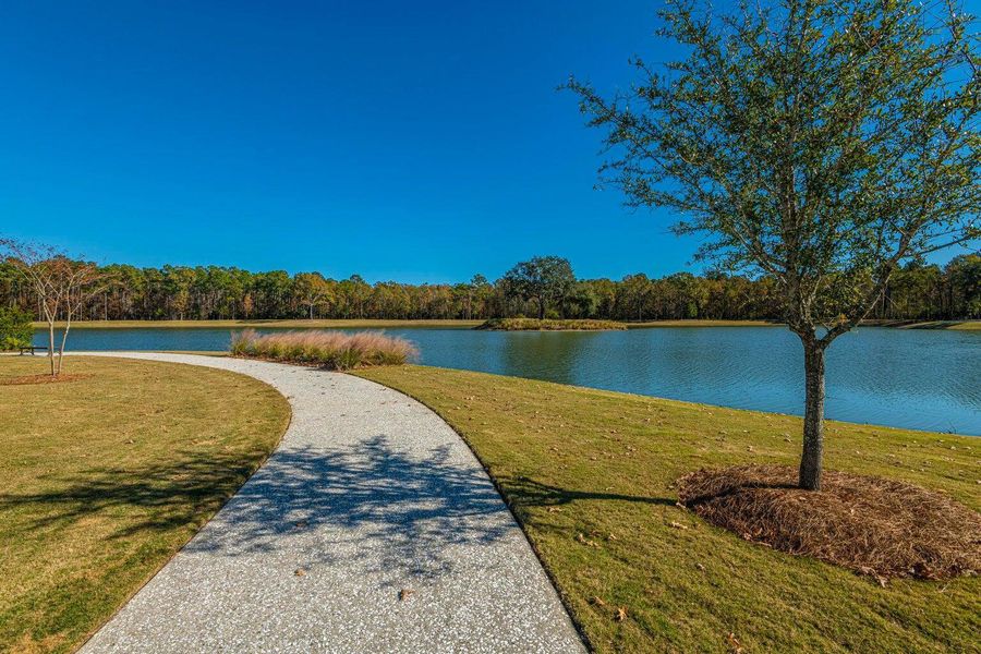 Natural landscape and outdoor views near Carolina Park: Riverside in Mount Pleasant (Image 37).