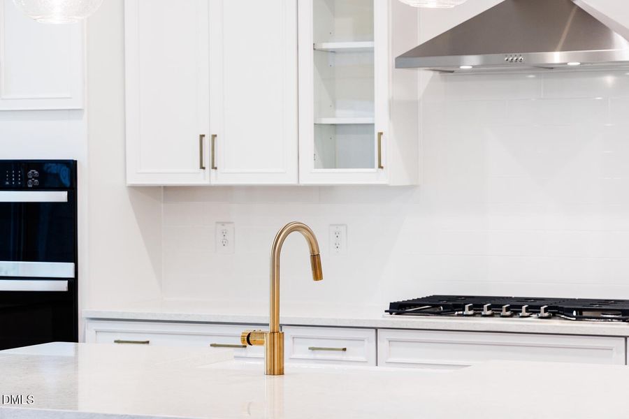 Brushed Gold fixtures