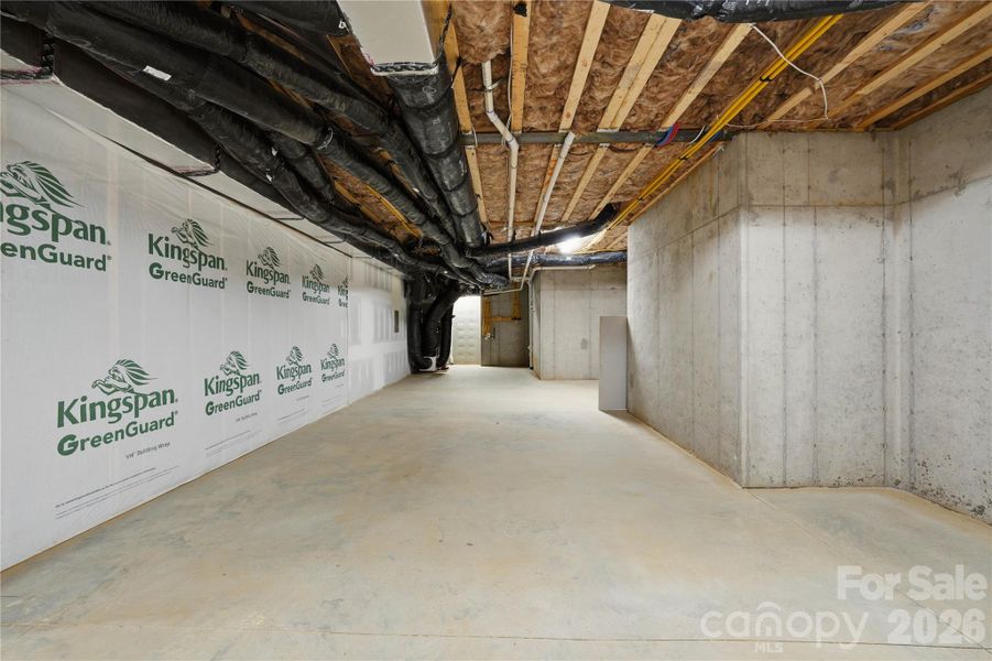 Basement Gym & Wellness Space