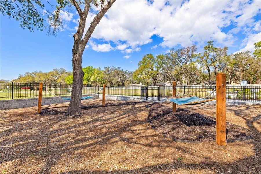 Community amenities in Vivir, Valrico (Image 18).