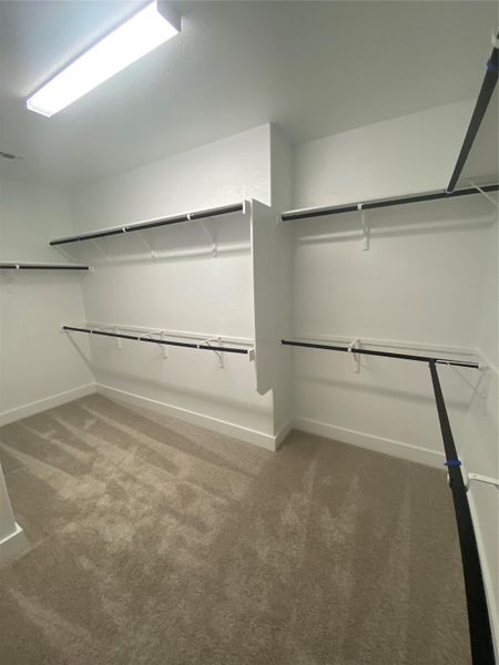 Walk-in Shower in Primary Bedroom Walk-in Shower in Primary Bedroom