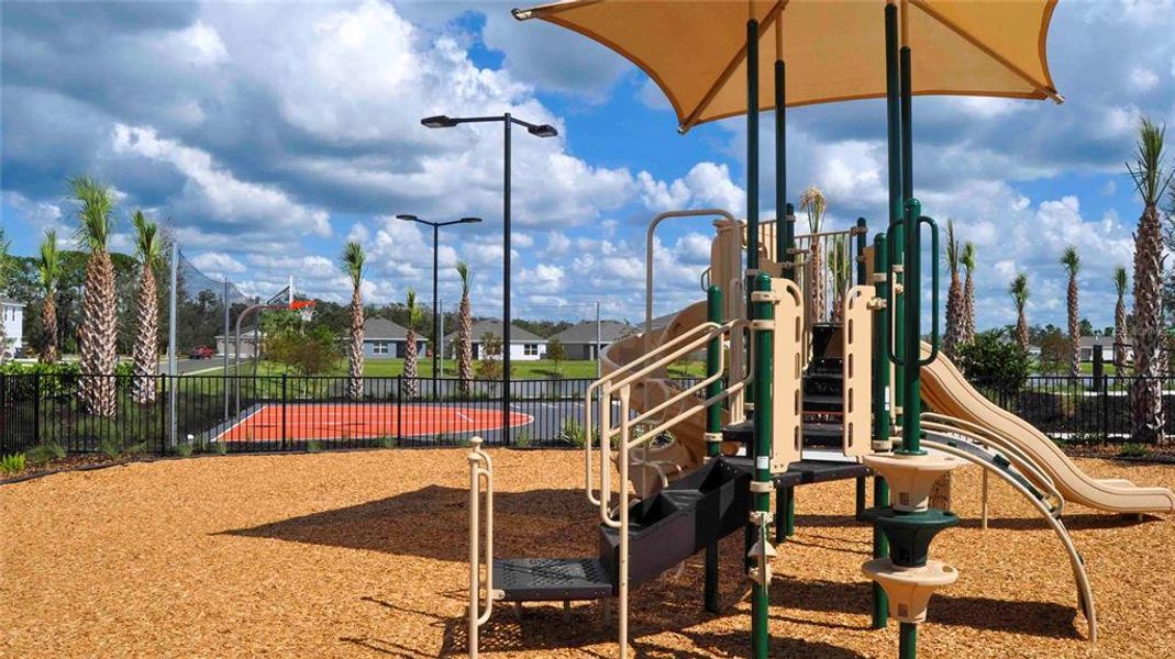 Community amenities in Rye Crossing, Parrish (Image 42).