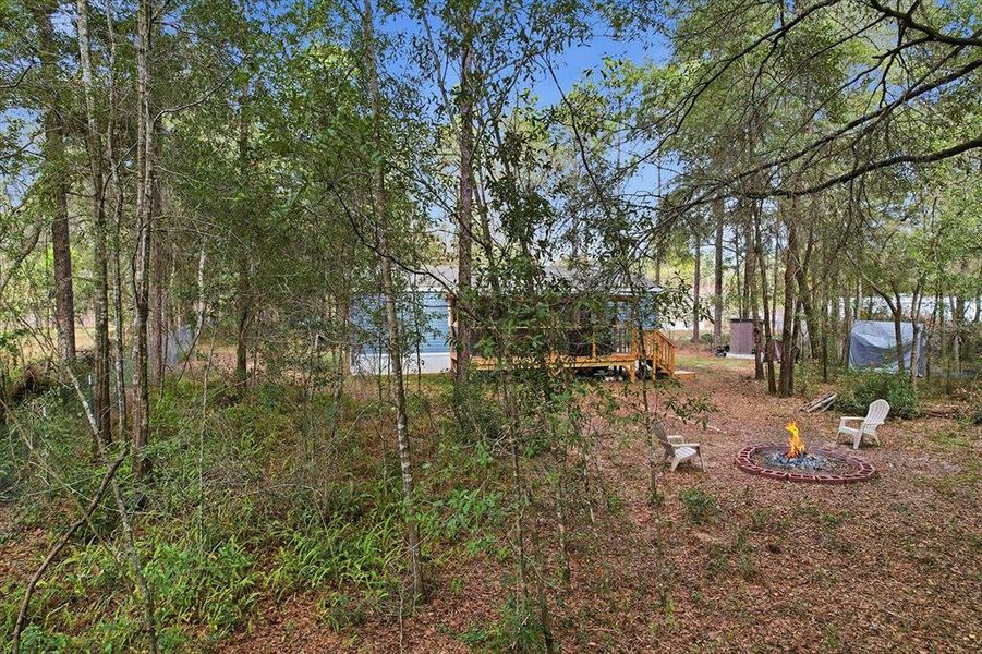Natural landscape and outdoor views near  in Dunnellon (Image 33).