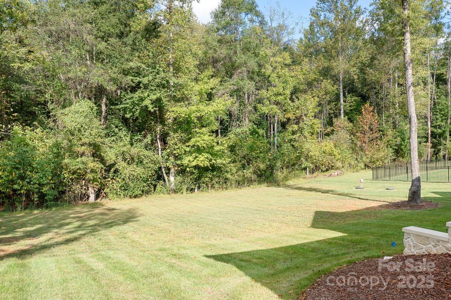 Natural landscape and outdoor views near  in Mooresville (Image 40).