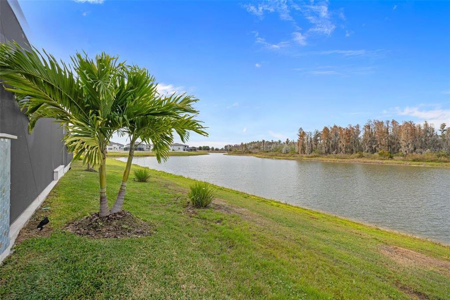 Exterior details and patio area of a home in , Wesley Chapel (Image 45). Exterior details and patio area of a home in , Wesley Chapel (Image 45).