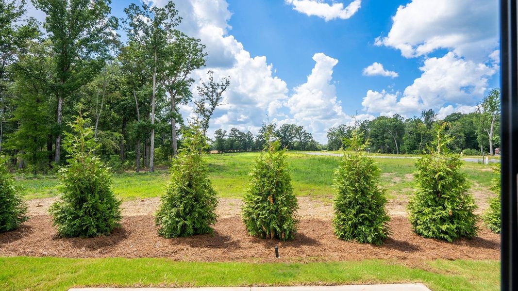 Natural landscape and outdoor views near The Ridge Townhomes in Monroe (Image 16). Natural landscape and outdoor views near The Ridge Townhomes in Monroe (Image 16).