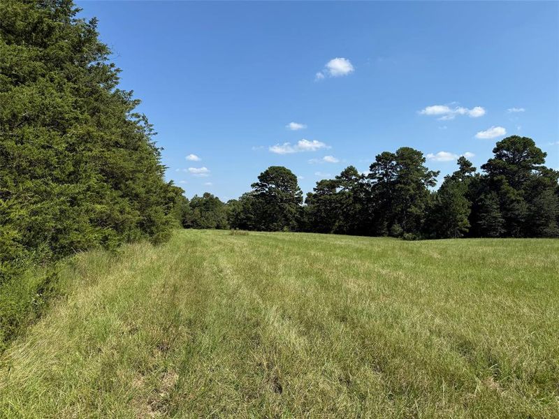 Image 19 of a home in . Image 19 of a home in .