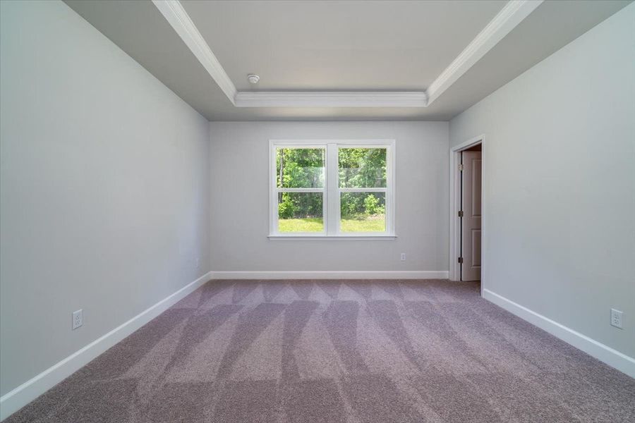 Retreat to an Owner's Suite with tray ceiling detail. Retreat to an Owner's Suite with tray ceiling detail.