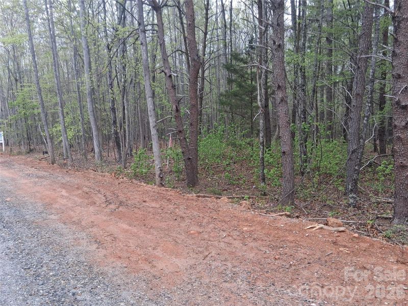 Natural landscape and outdoor views near  in Morganton (Image 16).