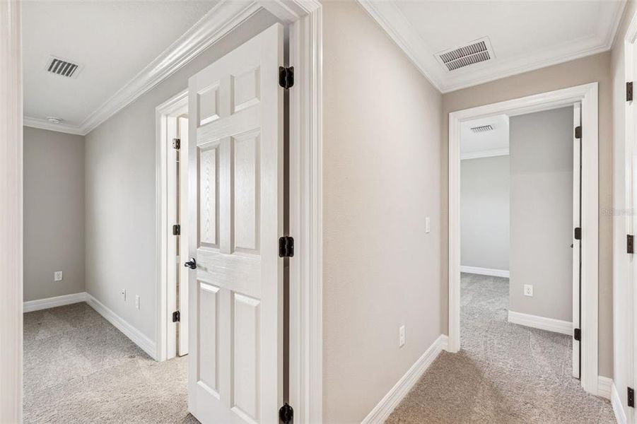 Spacious, unfurnished interior of a new home in Villas Del Lago, Lutz (Image 27).