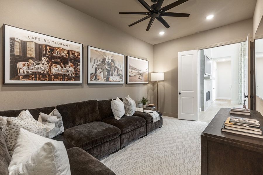 Representative Entertainment Room - some options shown