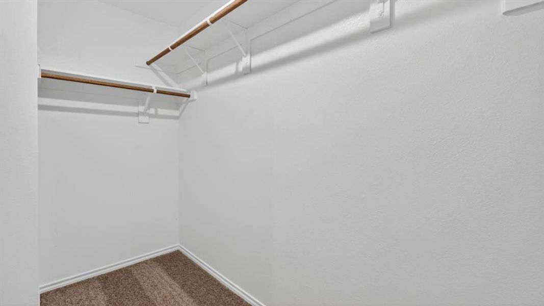 Walk-in closet with carpet flooring, white walls, and built-in shelving Walk-in closet with carpet flooring, white walls, and built-in shelving