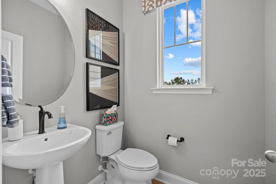 Representative Photo