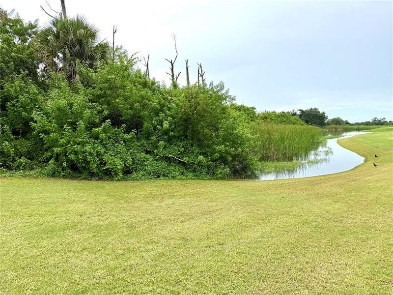 Image 19 of a home in Rotonda.