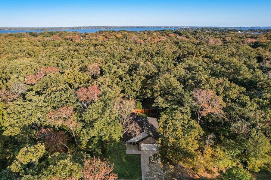 Aerial view of a heavily wooded area
