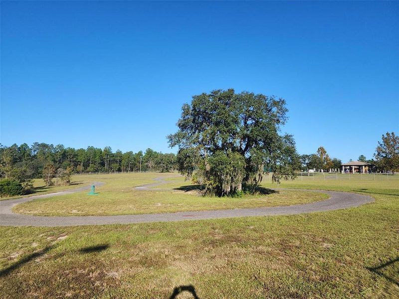 Natural landscape and outdoor views near  in Dunnellon (Image 19).
