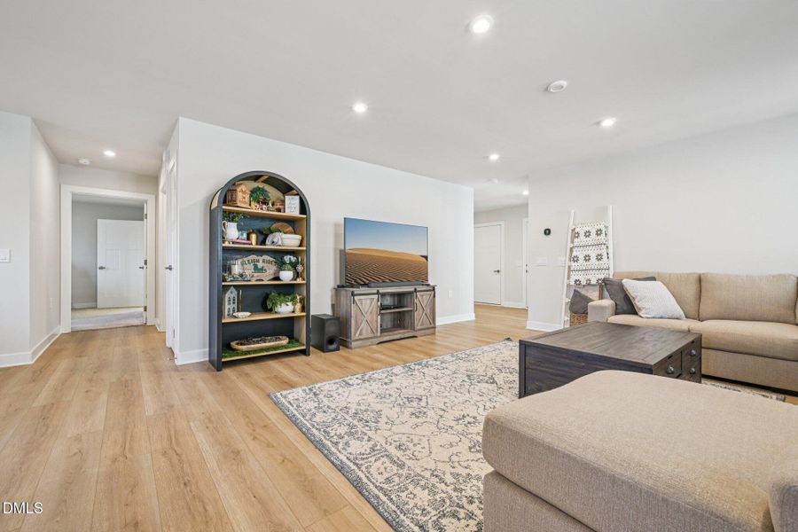 10-web-or-mls-matthiola-S1301-010