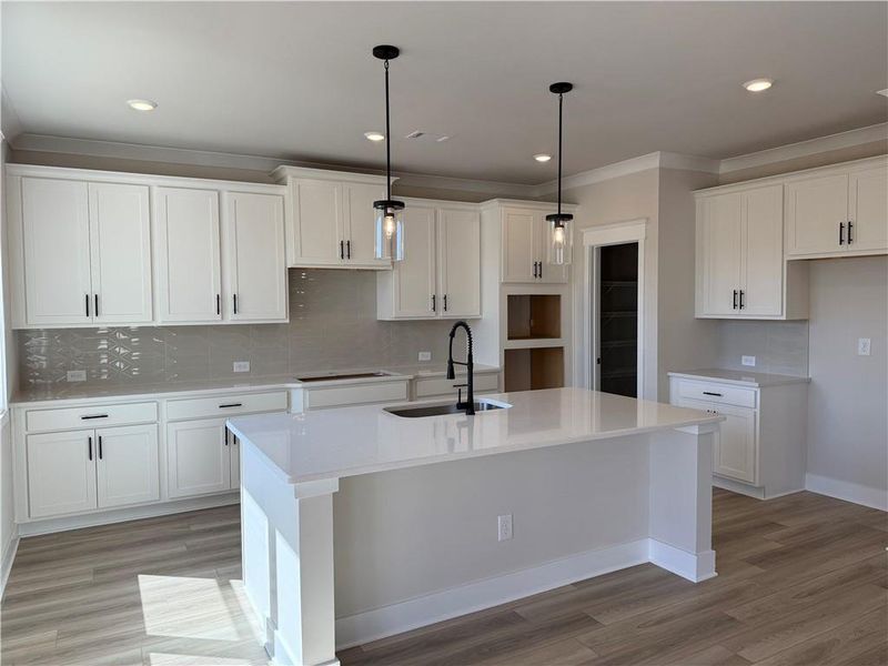 Furnished interior view inside a new home in Rosewood Lake Estates, Hoschton (Image 10). Furnished interior view inside a new home in Rosewood Lake Estates, Hoschton (Image 10).