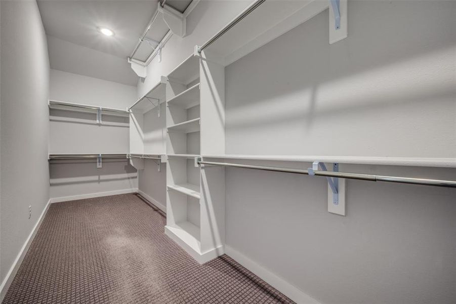 Walk in closet with carpet flooring