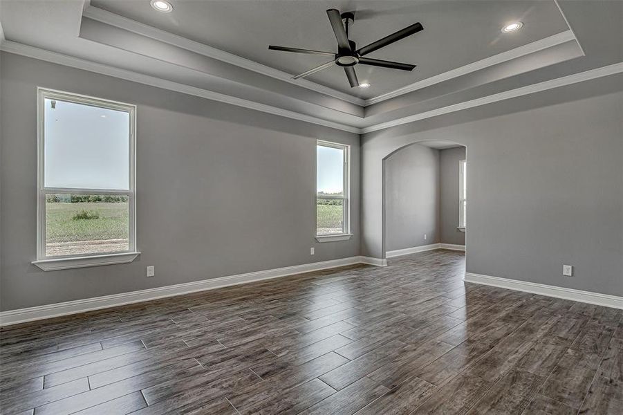 Spare room featuring a raised ceiling, ceiling fan, and ornamental molding