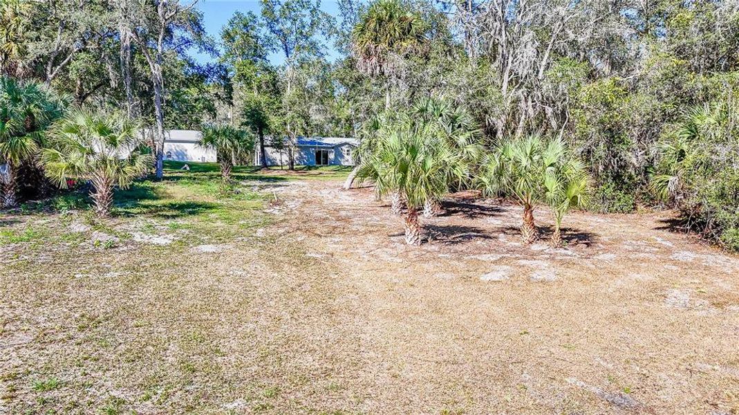 Natural landscape and outdoor views near  in Ocklawaha (Image 32).