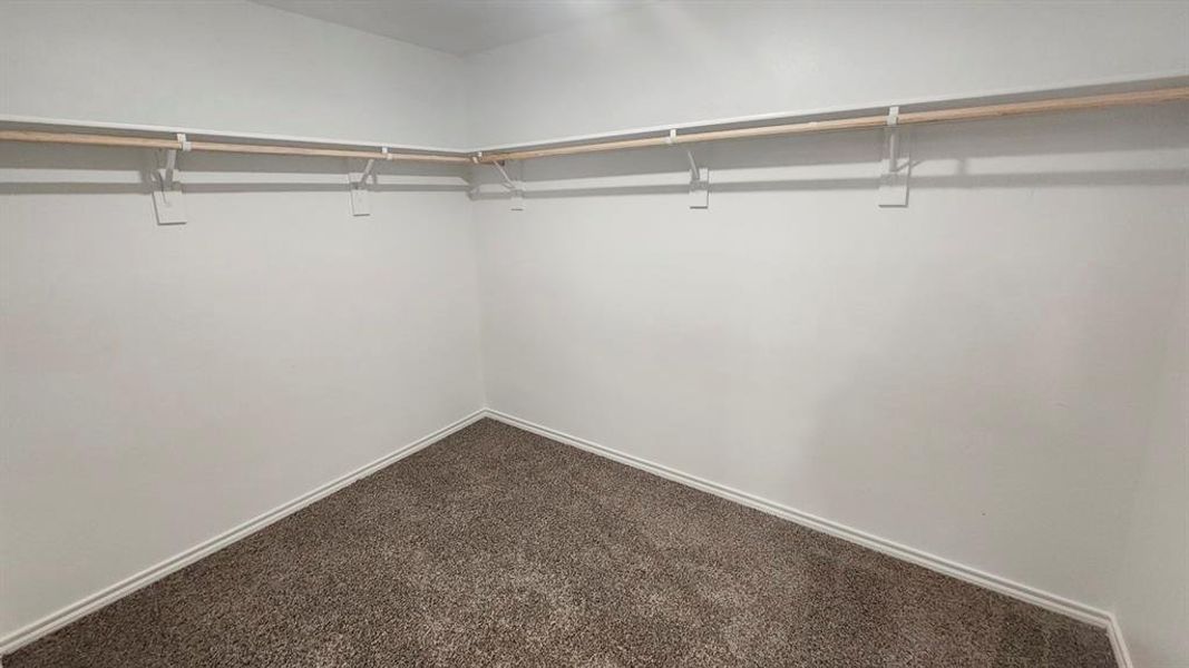 Walk-in closet with neutral-toned carpeting, white baseboards, and built-in wood-finish shelving and hanging rods