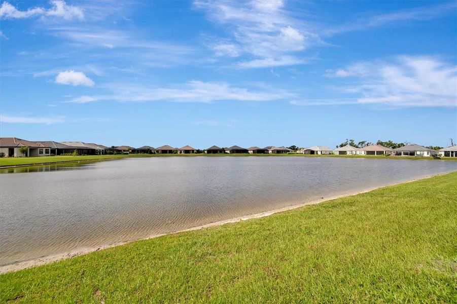 Natural landscape and outdoor views near  in Palmetto (Image 83).