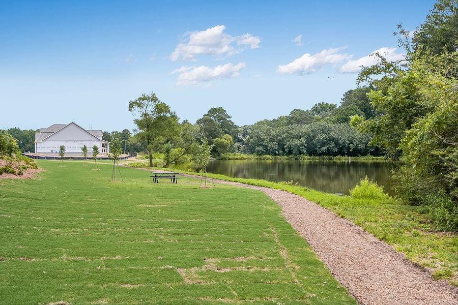 Natural landscape and outdoor views near Windance Lake in Loganville (Image 16).