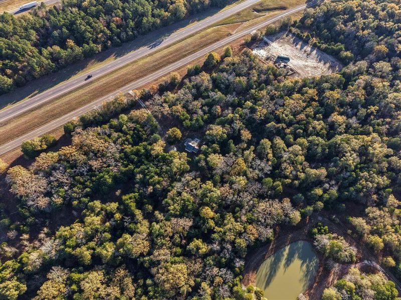 Natural landscape and outdoor views near  in Teague (Image 15).