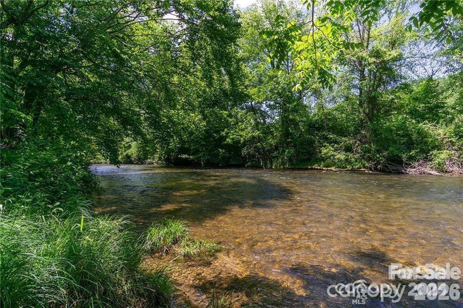 Mills River at the River Reserve