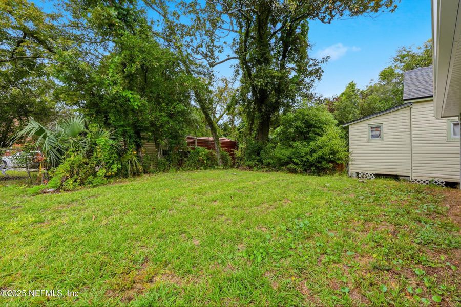 Natural landscape and outdoor views near  in Jacksonville (Image 29).