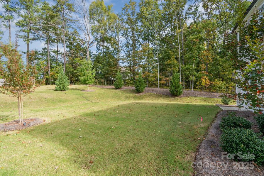 Natural landscape and outdoor views near Element Park in Charlotte (Image 27). Natural landscape and outdoor views near Element Park in Charlotte (Image 27).