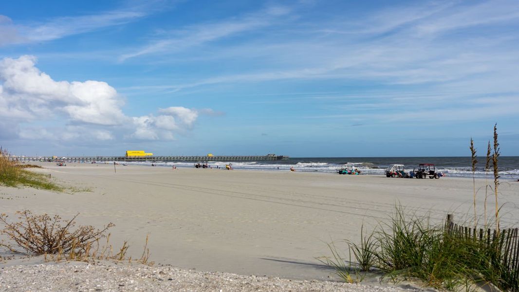 Natural landscape and outdoor views near Auberon Woods in Conway (Image 25).