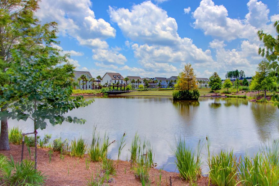 Natural landscape and outdoor views near Nexton - Midtown - The Village Collection in Summerville (Image 60).