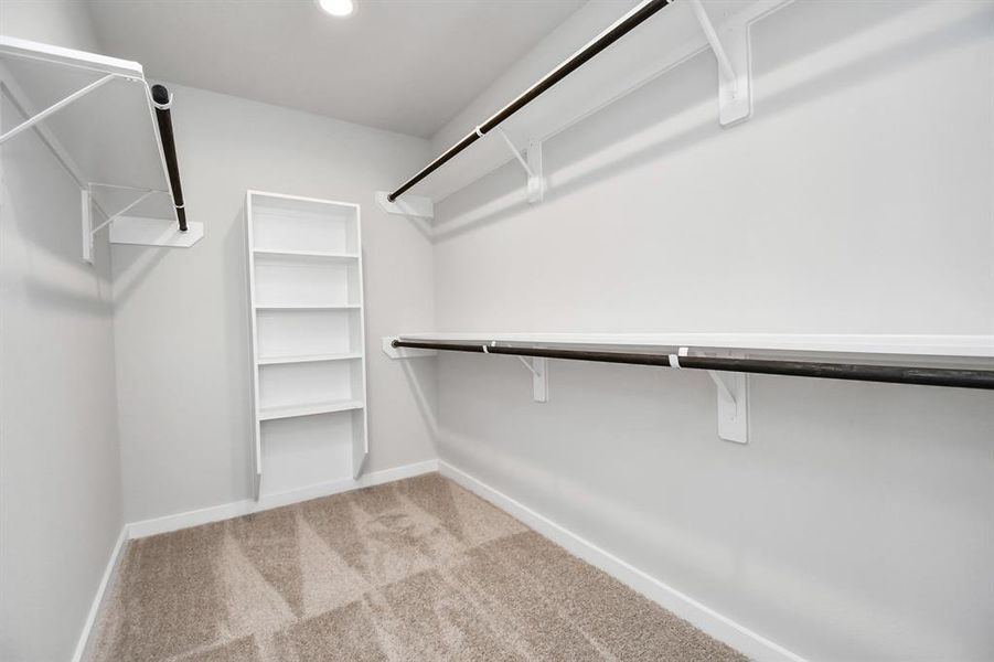 Experience luxury in this spacious walk-in closet with high ceilings and plush carpet. Warm paint tones, built-in shelving, and dark finishes create a contemporary and functional retreat. Representation photo. Actual colors and selections may vary.