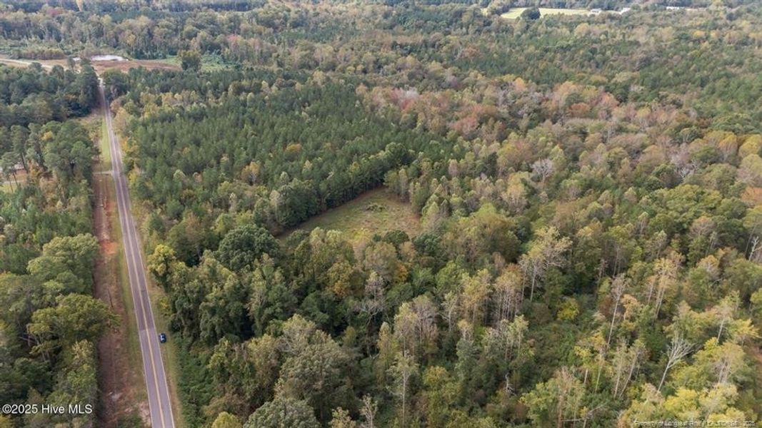 1435 Pineywood Church Road - 9.13 Acres 1435 Pineywood Church Road - 9.13 Acres