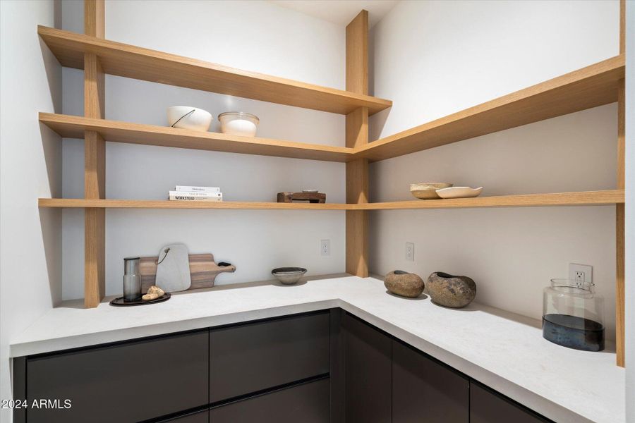 Walk-in Pantry w/ Ample Storage