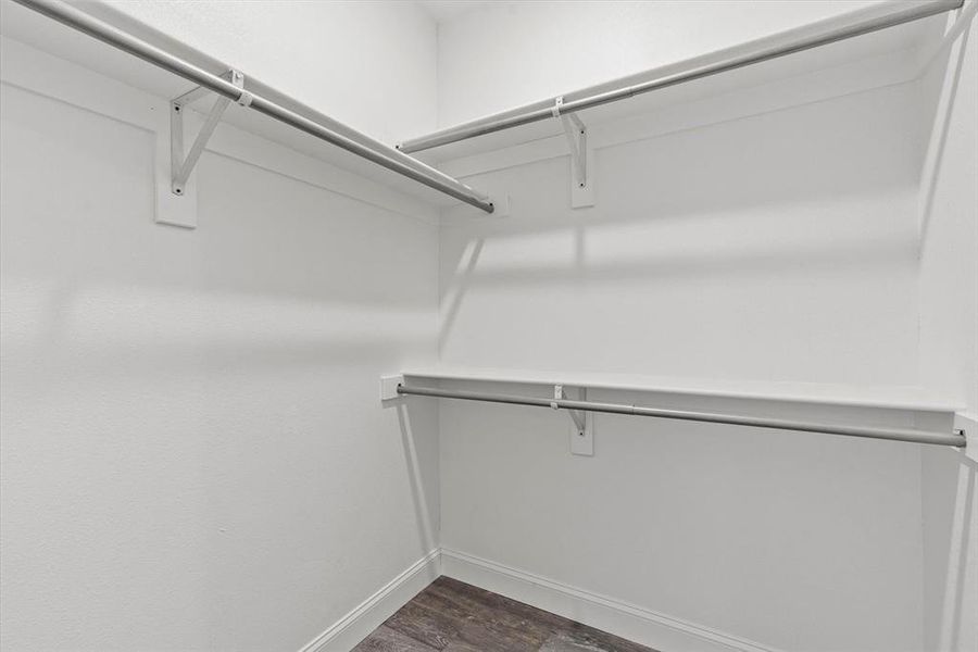 Spacious closet featuring dark hardwood / wood-style floors