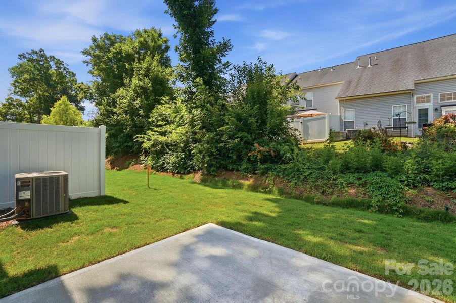 Patio and Backyard
