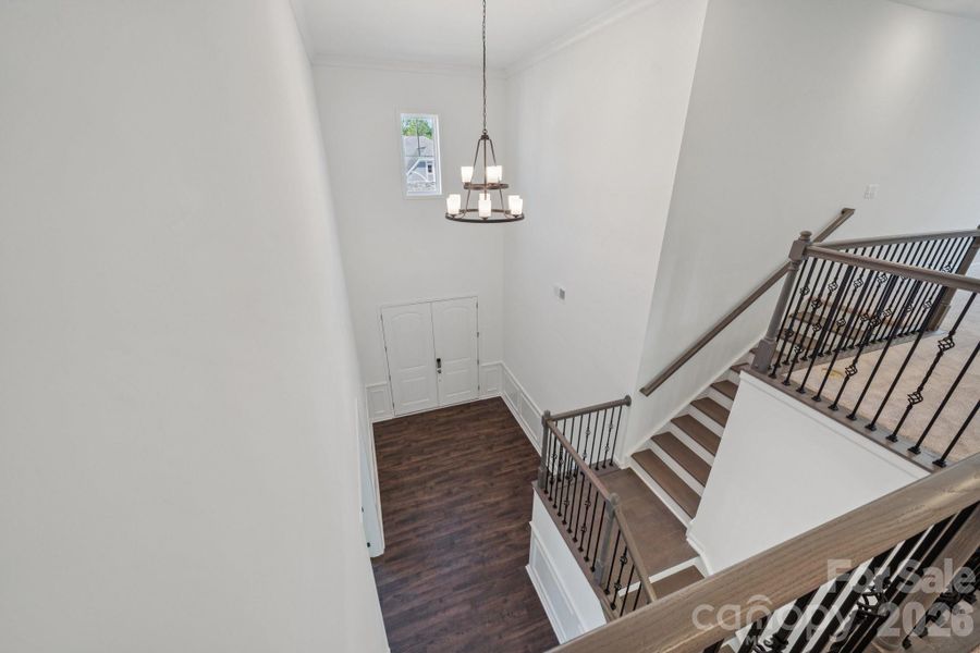 Representative Photo